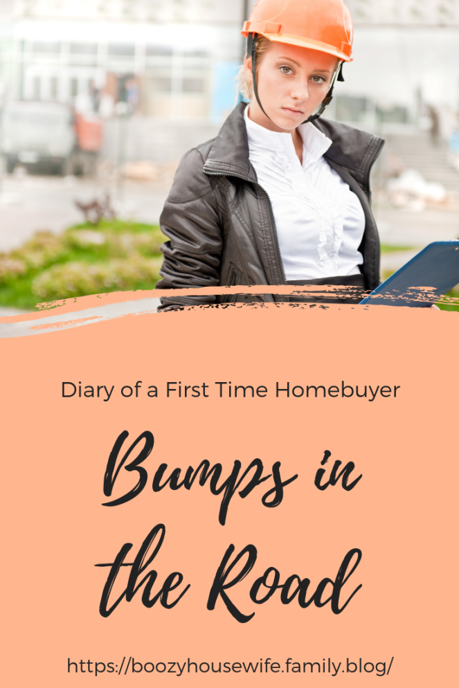 Diary of a First Time Homebuyer (3).png